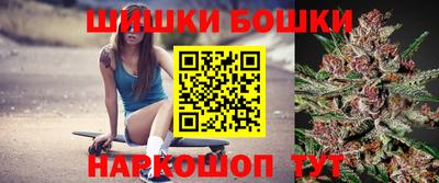индика Жуковский