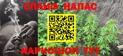 индика Заволжье