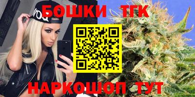 индика Заволжье