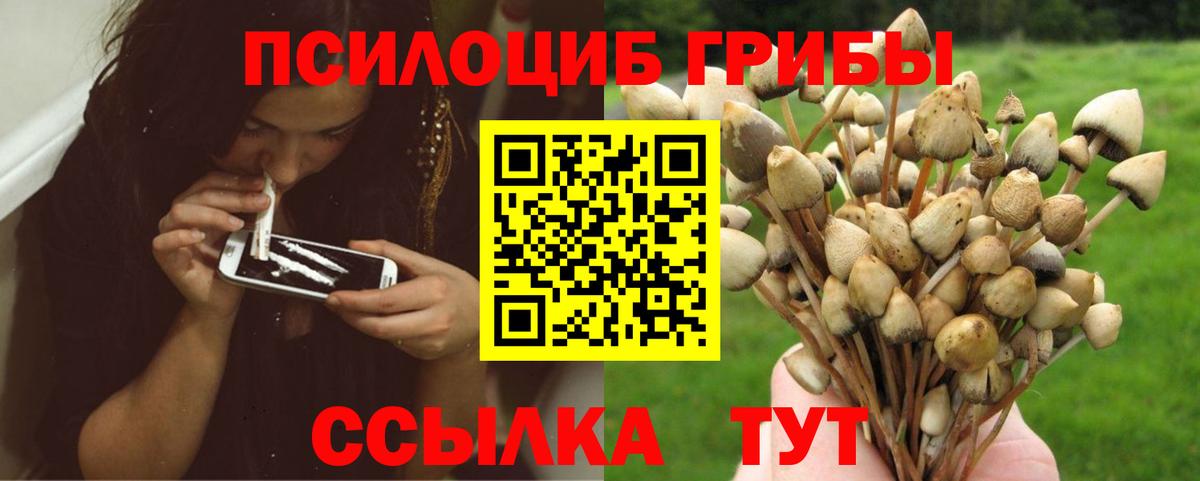 Галлюциногенные грибы мухоморы  Вход с VPN  Глазов  магазин    Псилоцибиновые грибы мицелий 